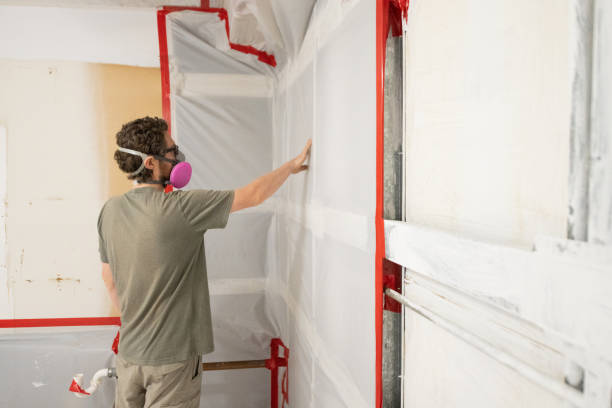 Best Airborne Mold Testing  in Georgetown, CO