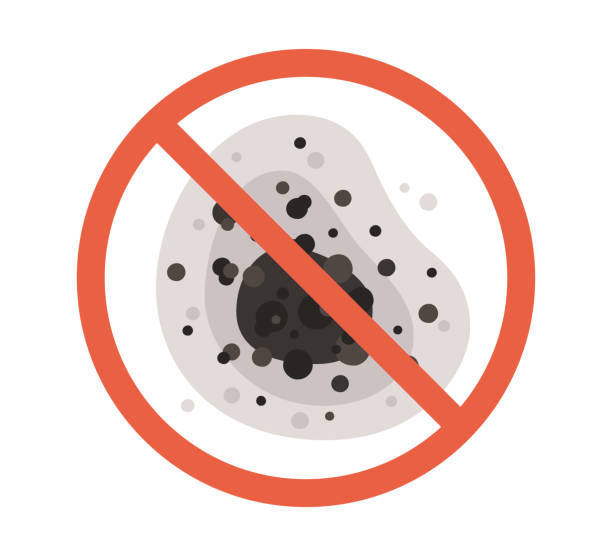 Environmental Consulting for Mold Prevention in Georgetown, CO