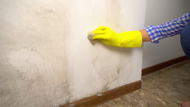 Best Mold Prevention Services  in Georgetown, CO