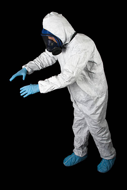 Professional Mold Removal in Georgetown, CO